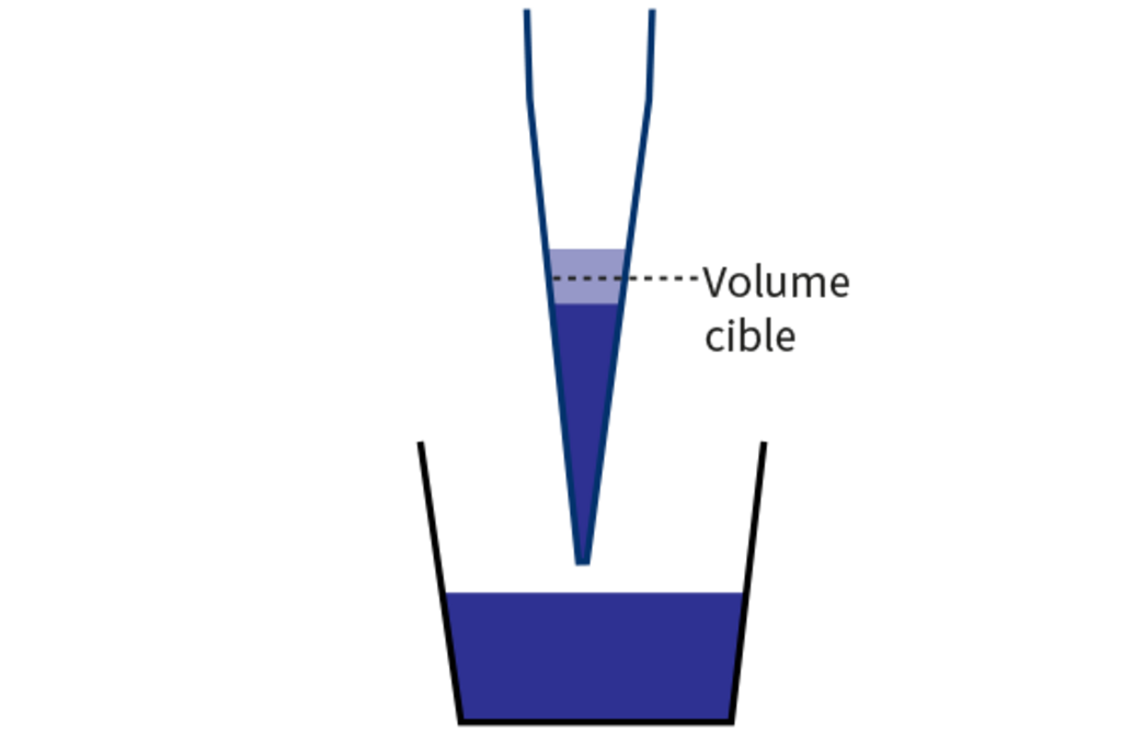 Illustration d’une pointe de pipette aspirant un liquide, montrant le volume cible et la manière dont des densités de liquide différentes entraînent des écarts par rapport au niveau d’aspiration attendu.