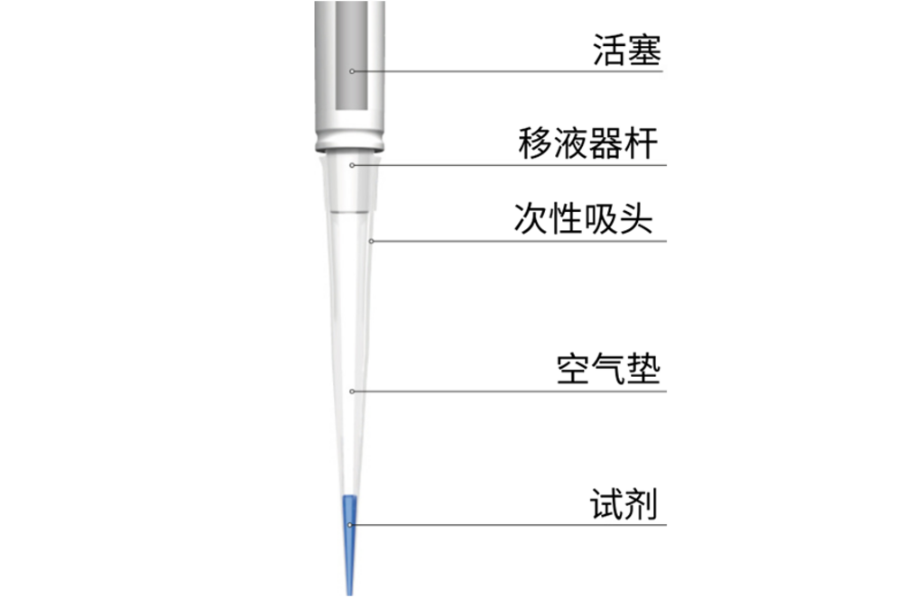 显示标注部件的微量移液器示意图——活塞、移液轴、一次性吸头、空气垫和试剂。