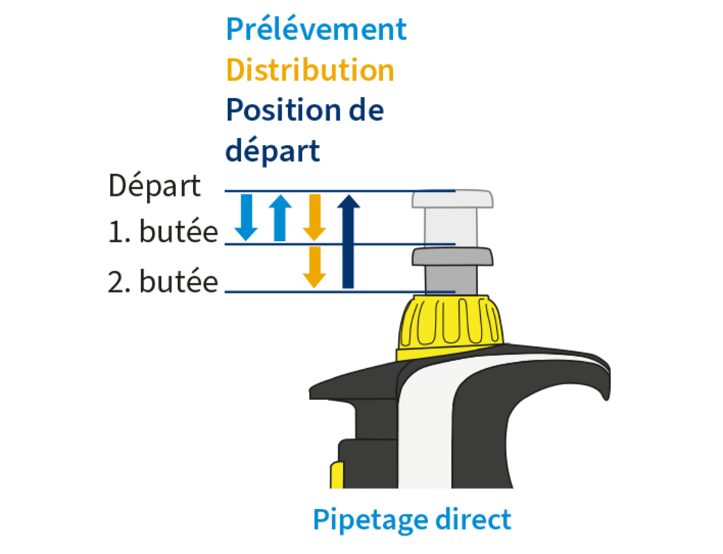 Schéma d’une pipette Transferpette montrant la position de départ ainsi que les premier et deuxième niveaux d’arrêt, avec des flèches indiquant les mouvements d’aspiration et de distribution utilisés lors d’un pipetage en mode direct.