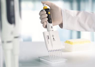 Hand hält eine weiße Mehrkanal-Pipette (Transferpette S) und pipettiert in eine Well-Platte auf einem Labortisch; im Hintergrund Pipettenspitzenbox und Laborgeräte.